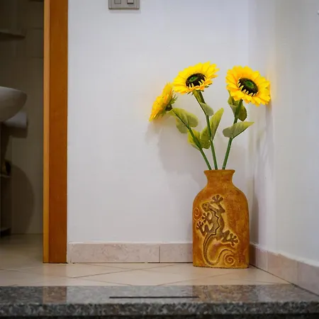 Vakantiehuis Residenza Grecale Con Veranda Vicino Al Paese *